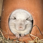 Photo from Mareike’s gallery